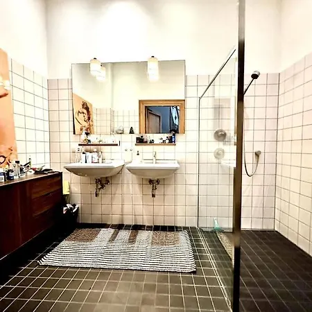 Apartment Historic Mansion In The Heart Of 304m2 Amsterdam